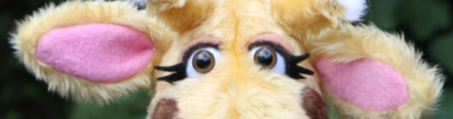 harold-2